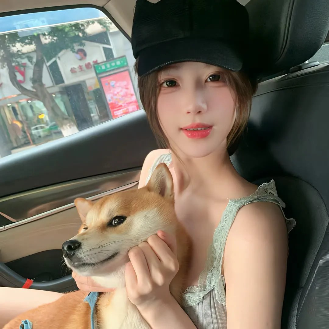 鸽之翼
